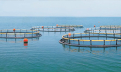 Aquaculture pictures